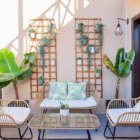 Mandarina 326 Сан Мигель